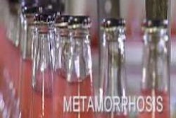 Citybreweryssupplychainmetamor 10269613