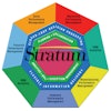 2008 Stratum Pinwheel