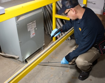 Sanitation is especially important when stored product pests are found inside food processing equipment where pesticides use may be restricted.
