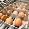 While the law includes seven separate rules, it requires more extensive documentation and record keeping for supply chain players.