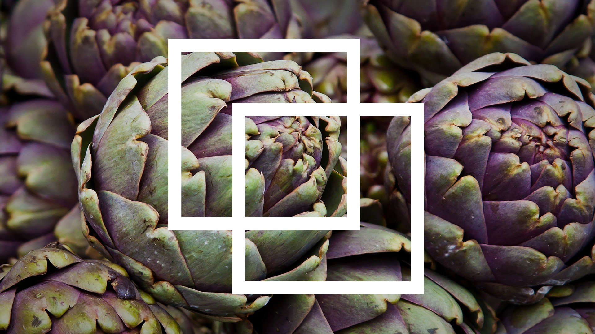 artichokes 58909e7eec8f1