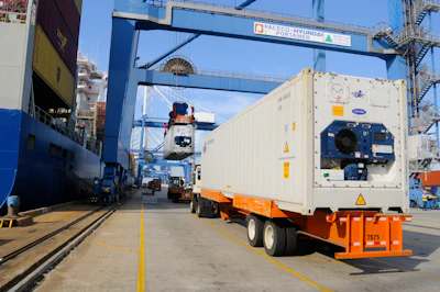 refridgerated container loading 8259 59651c1372db5