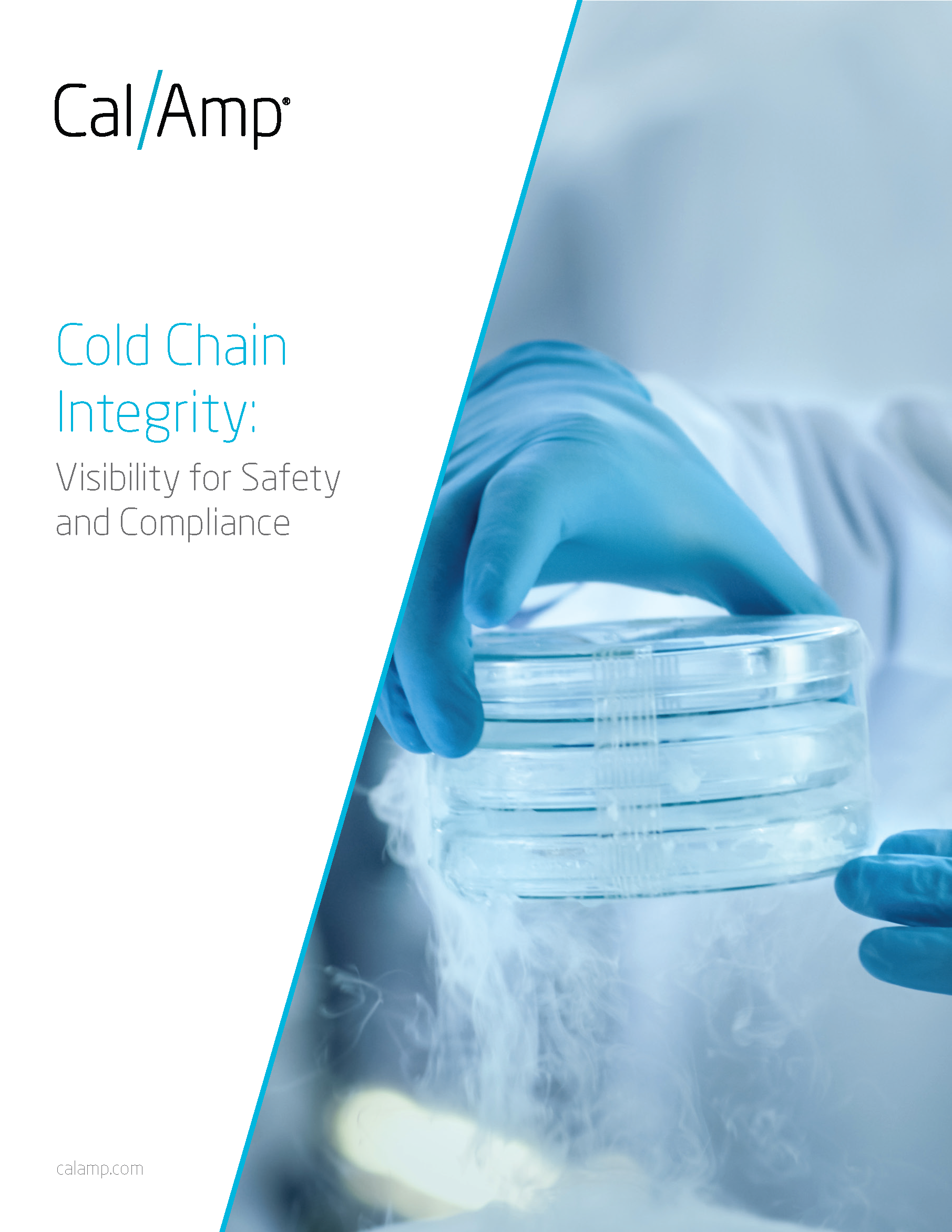 Cal Amp Cold Chain Integrity Wp Page 1