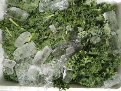 In Vietnam, cold chain solutions have low adoption and are still incipient.