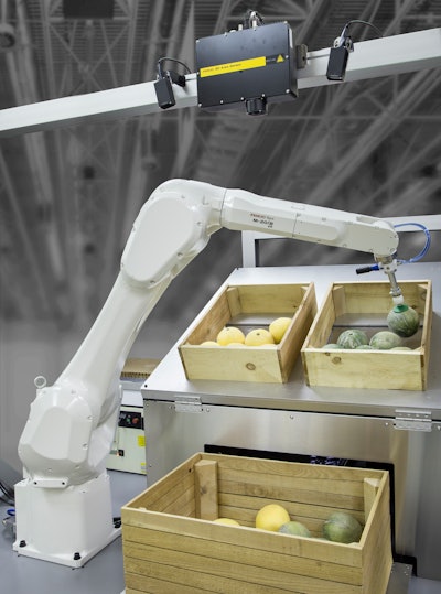 M 20i B 25 Bin Picking Melons