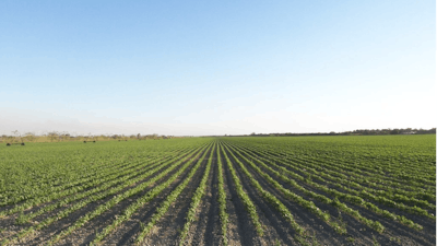 Farm Field Flickr