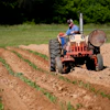 Agriculture Countryside Crop 2252618