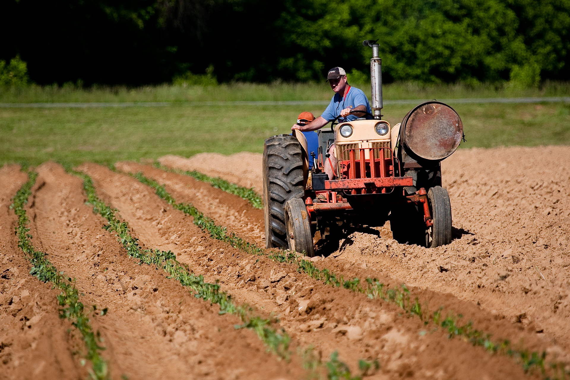 Agriculture Countryside Crop 2252618