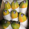 Cavi Papayas