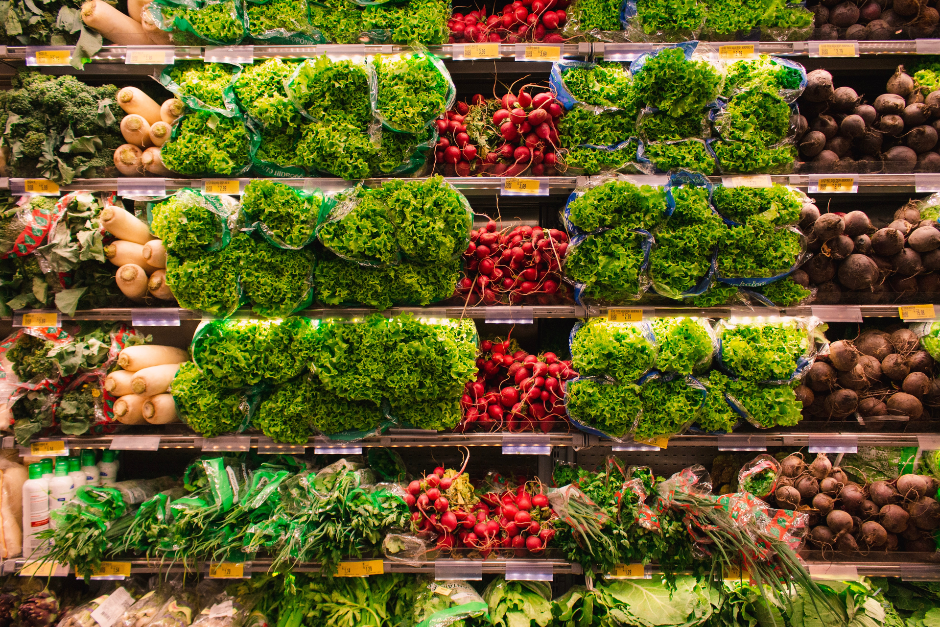 Abundance Agriculture Arranged 2733918
