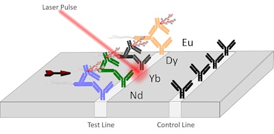 Purdue innovators have developed a lanthanide-based assay coupled with a laser that can be used to detect toxins and pathogenic E. coli in food samples, water and a variety of industrial materials. (Image provided)