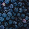Close Up Photo Of Blueberries 2254063