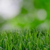 Nature Garden Grass Lawn 9257