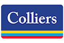 Logo Footer