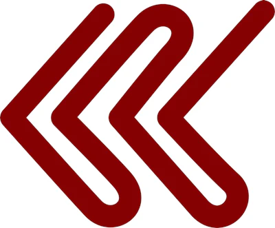 Dsw Logo Medium 600dpi