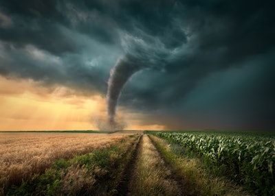 Adobe Stock 145285951
