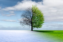 Adobe Stock 243901120