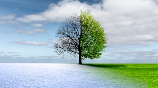 Adobe Stock 243901120
