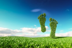 Adobe Stock 206053459