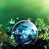 Adobe Stock 530400765 (1)