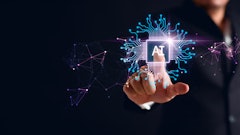 Adobe Stock 612770762 (1)