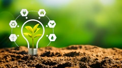 Adobe Stock 434315057 (2)