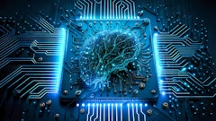 Adobe Stock 570400056