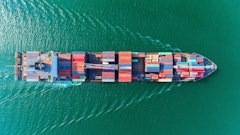 Adobe Stock 241274431