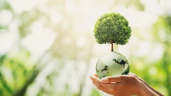 Adobe Stock 437495603