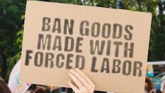 Adobe Stock 475597494