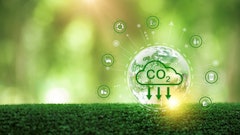 Adobe Stock 531453780