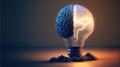 Adobe Stock 560466427