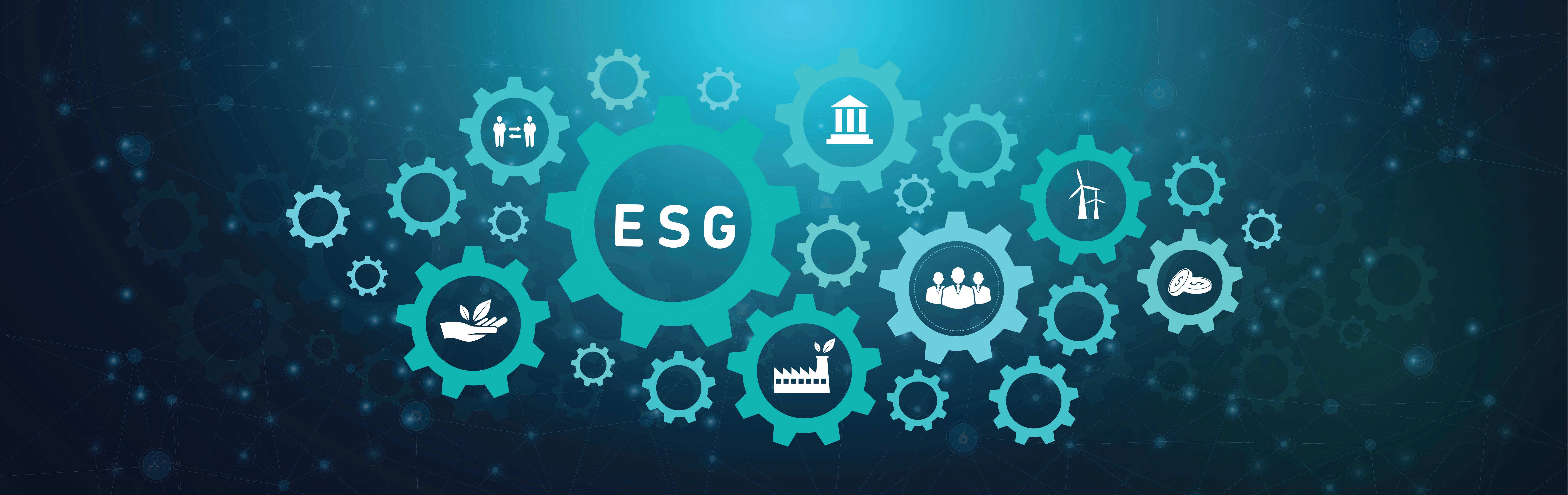 Why ESG & Supplier Diversity are the Key to Responsible Business - Vimarsana News