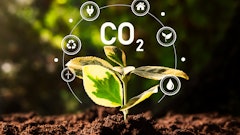 Adobe Stock 568588368