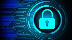 Adobe Stock 308178781