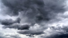 Adobe Stock 272782644