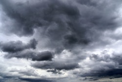 Adobe Stock 272782644