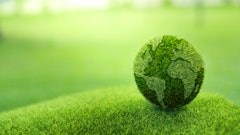 Adobe Stock 445371474