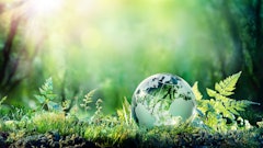 Adobe Stock 199850553