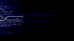 Adobe Stock 164562078