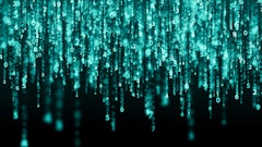 Adobe Stock 218614980 (2)