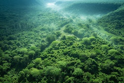 Adobe Stock 826609378