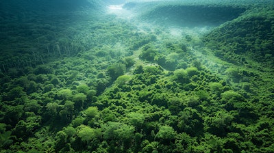 Adobe Stock 826609378