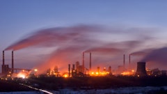 Adobe Stock 101025400