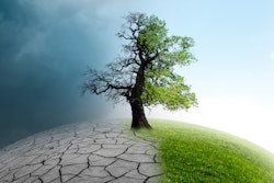 Adobe Stock 386956436