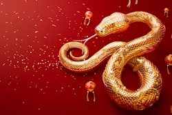 Peludis Adobe Stock 780899836