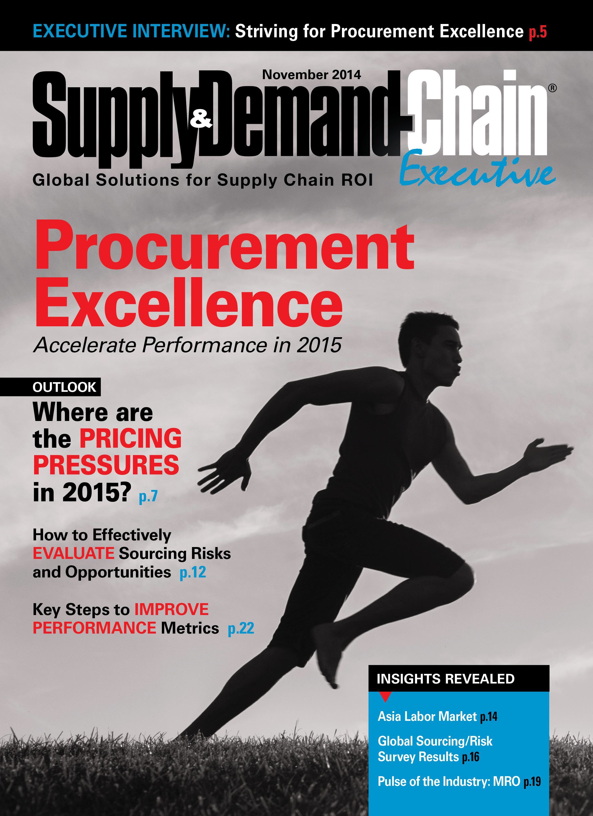 Supply & Demand Chain Executive IHS 2014
