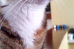 544378 10200802691293623 1277871719 n 55e465d7e2745