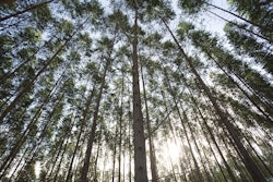 MG 8589 568ac92710777