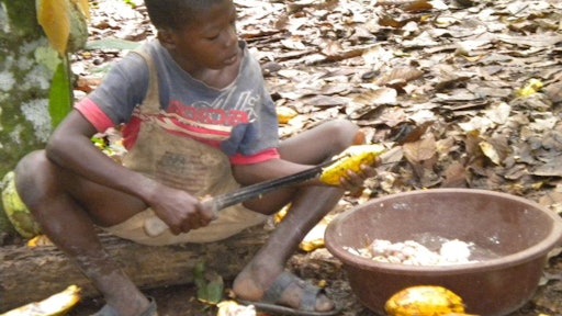 Two of the world’s largest coffee companies Nestle and Jacobs Douwe Egberts say beans bought from Brazilian plantations may have been grown using slave labor because they do not know the names of all the plantations that supply them.